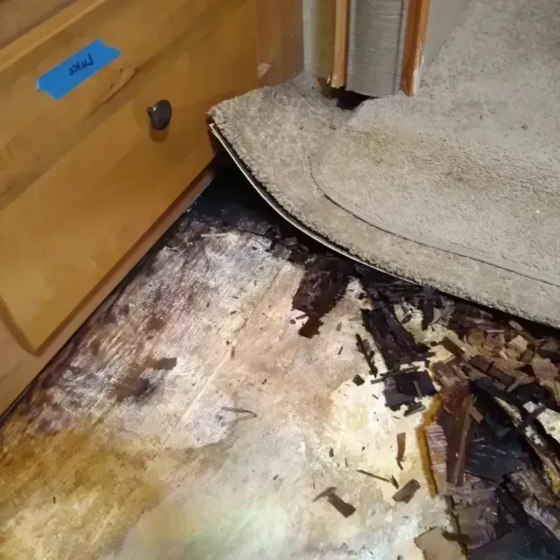 Best Wood Floor Water Damage Service in Massillon, OH